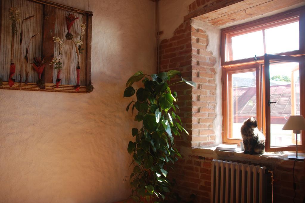 Beguta Guest House ハープサル エクステリア 写真