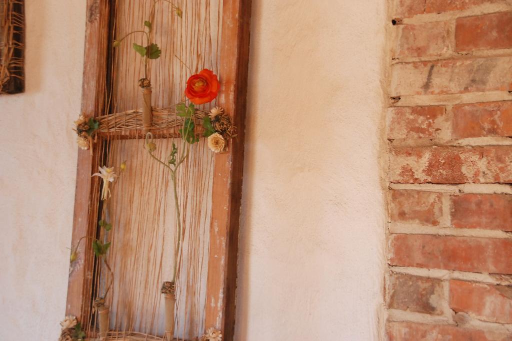 Beguta Guest House ハープサル エクステリア 写真