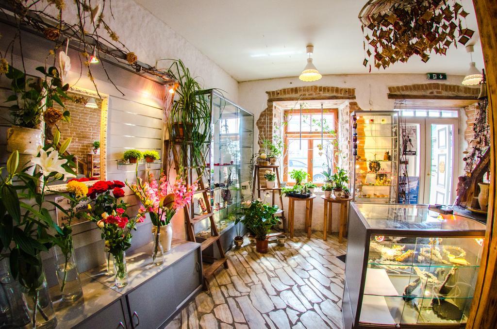 Beguta Guest House ハープサル エクステリア 写真